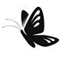 butterfly.jpg